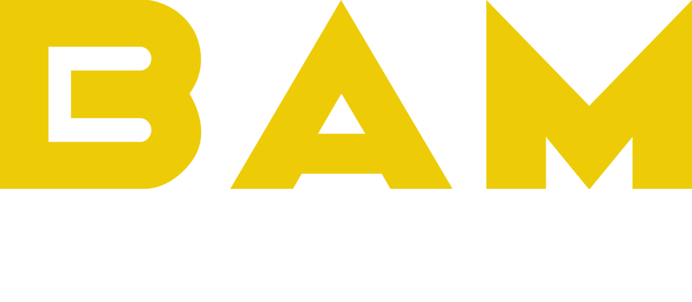 BAM Studio